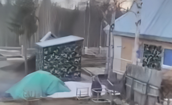 Медведь пробрался на участок к жилому дому в Мурманской области Медведь на участке