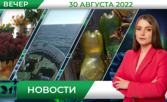 Полное видео программы «Новости» Полное видео программы «Новости»