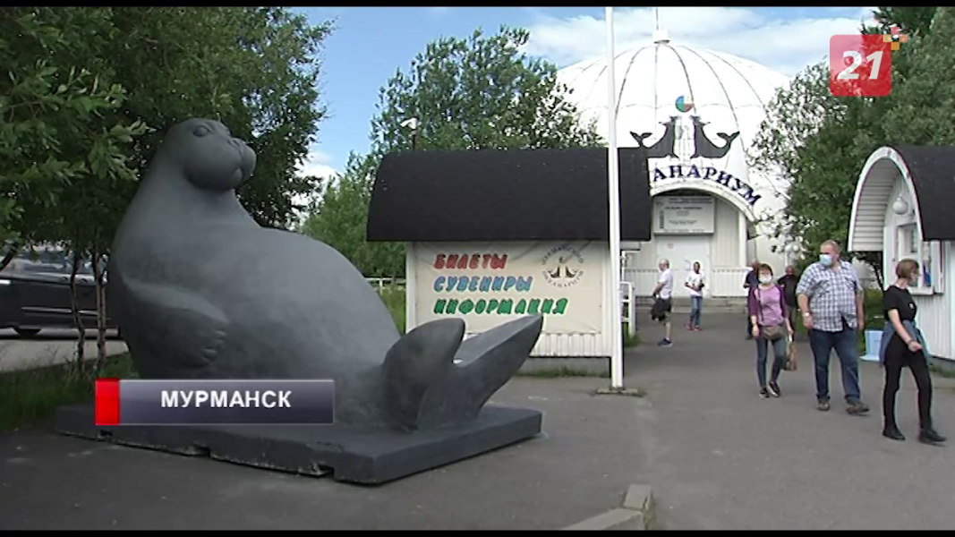 В Мурманском океанариуме появился «новый питомец» Скульптура тюленя