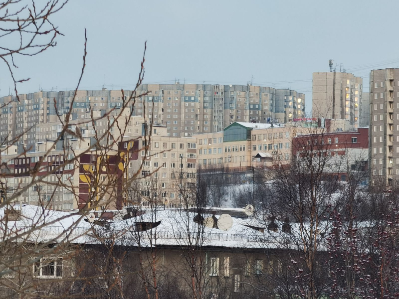 В крупном торговом центре Мурманска задержали мужчину Мурманск