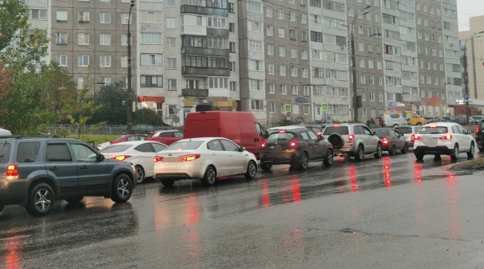 Сотни машин проверила полиция: были привлечены служебные собаки Автомобили