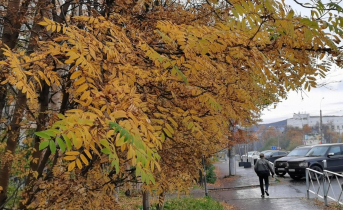 Школу в Мурманске переименовали Школу в Мурманске переименовали