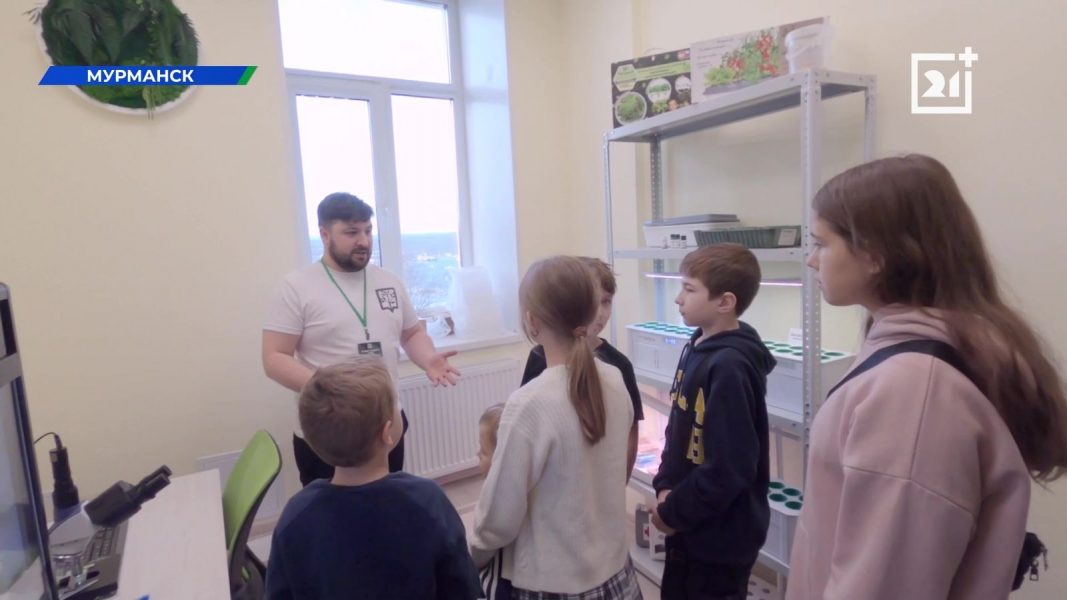 Что такое гидропоника, и как правильно выращивать на ней растения? Что такое гидропоника, и как правильно выращивать на ней растения?