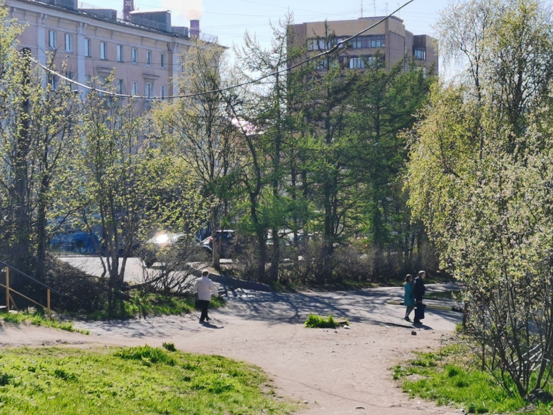 Соцсети: в Мурманске рассказали об очередной жертве агрессивной собаки Мурманск