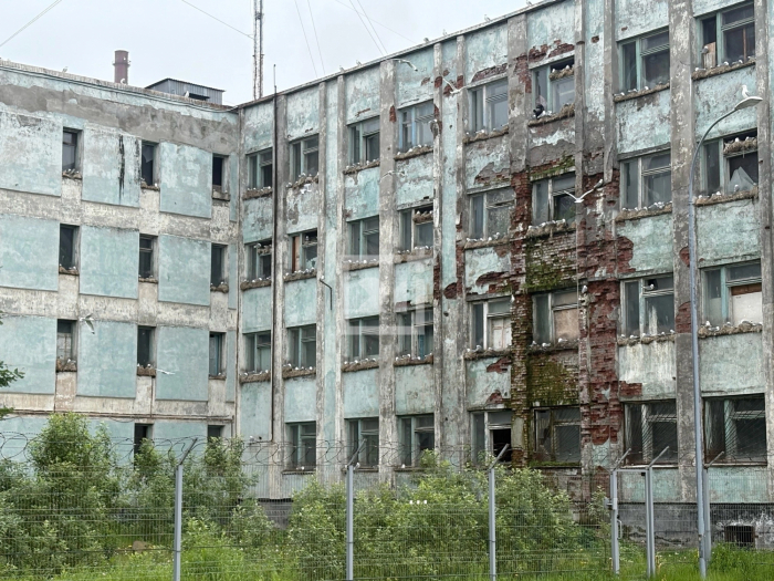 Чайки полностью заняли пустующий дом в Мурманске птицы