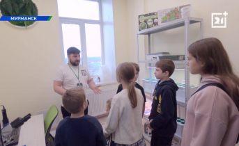 Что такое гидропоника, и как правильно выращивать на ней растения? Что такое гидропоника, и как правильно выращивать на ней растения?