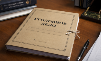 Мать истязала 4-месячную малышку в Мурманской области Уголовное дело