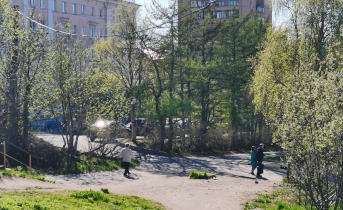 Соцсети: в Мурманске рассказали об очередной жертве агрессивной собаки Мурманск