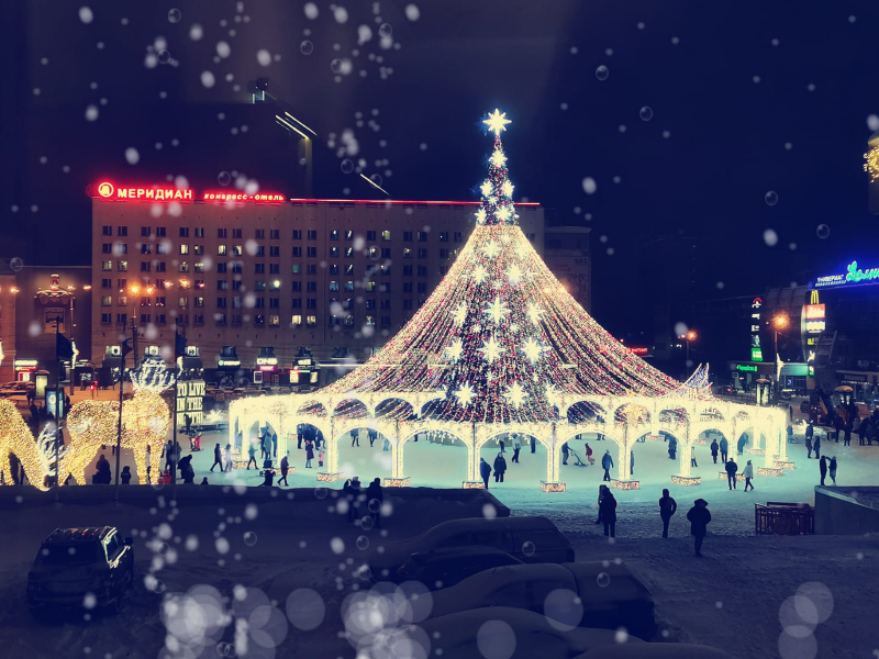 Как мурманчане и гости города встретили Новый год Елка