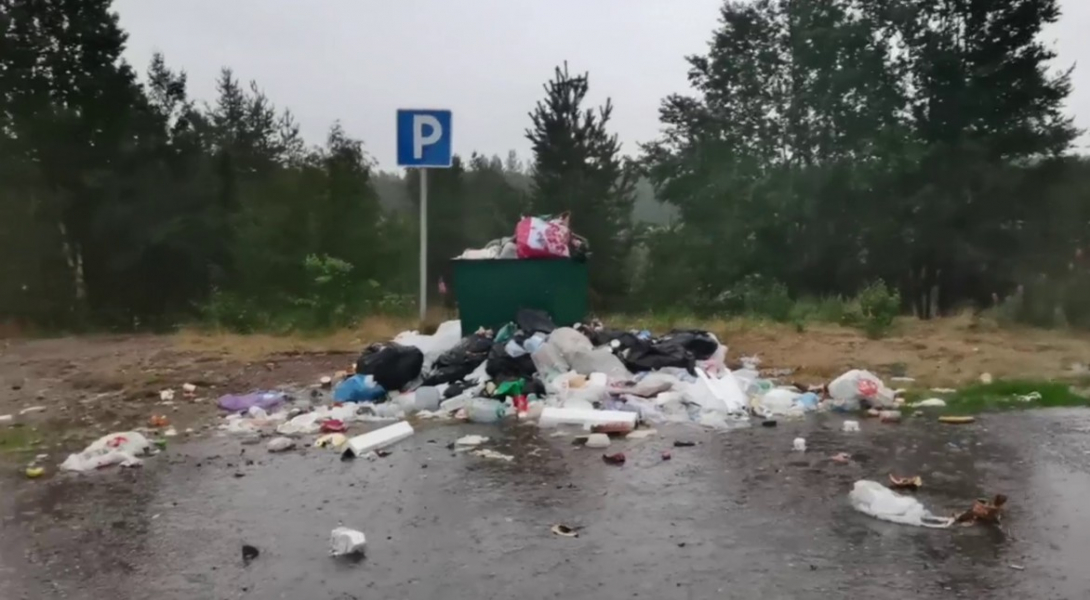 «Ужас». Неожиданная картина на парковке в Мурманской области возмутила северян Мусор