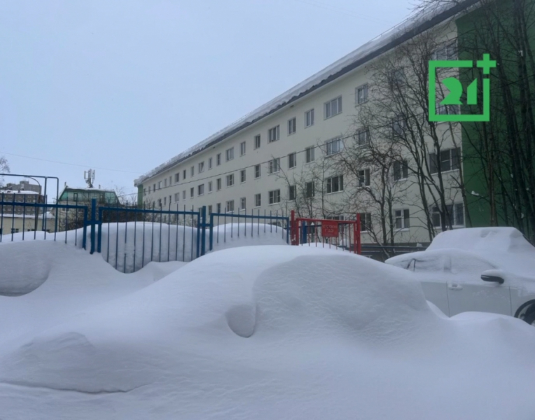 Мурманчане обнаружили «сюрприз» под снегом Сугроб