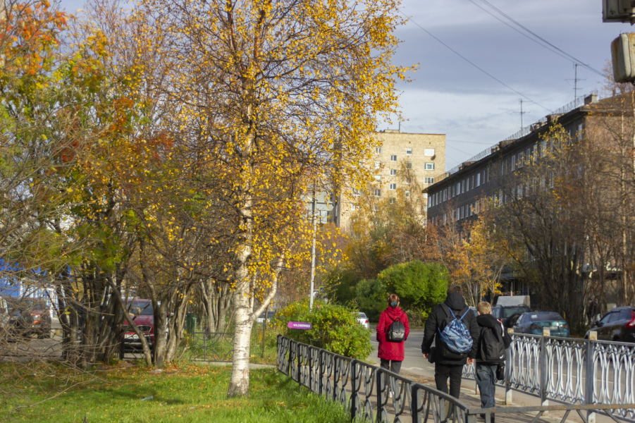 В Мурманске бесследно исчез мужчина: ведутся поиски Люди