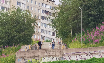 В Мурманске из окна многоэтажки выпал мужчина Многоэтажный дом