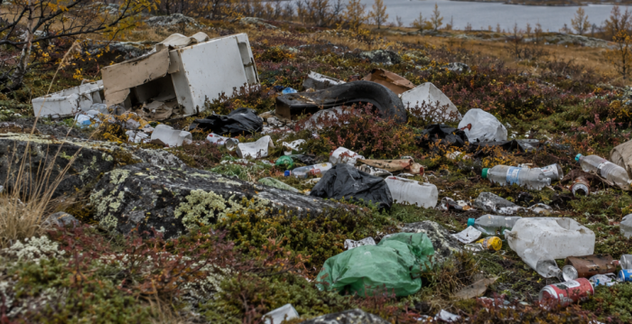 Свалку обнаружили в Мурманской области. Ситуацией заинтересовалась прокуратура Свалку обнаружили в Мурманской области. Ситуацией заинтересовалась прокуратура
