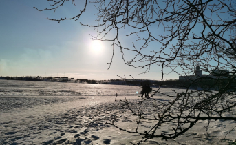 Погода