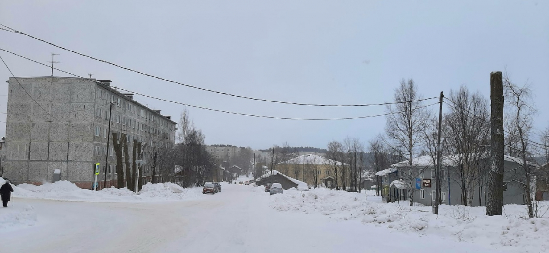 Жители одного из поселков Мурманской области поделились радостью Тополя
