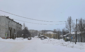 Жители одного из поселков Мурманской области поделились радостью Тополя