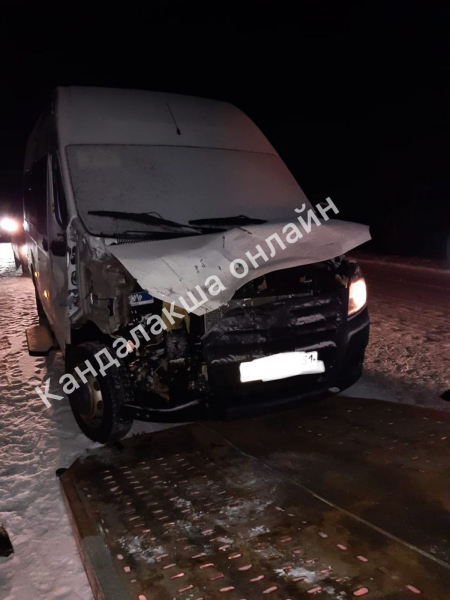 На трассе в Мурманской области насмерть сбили лося ДТП