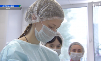 Какие льготы получат студенты Мурманской области? Какие льготы получат студенты Мурманской области?
