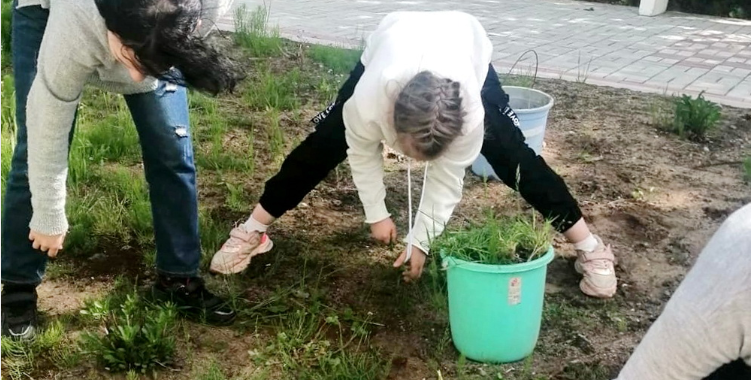 Никельская детвора занимается садоводством Никельская детвора занимается садоводством