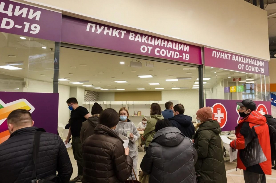 Стало известно, где можно распечатать QR-код в Мурманске Вакцинация