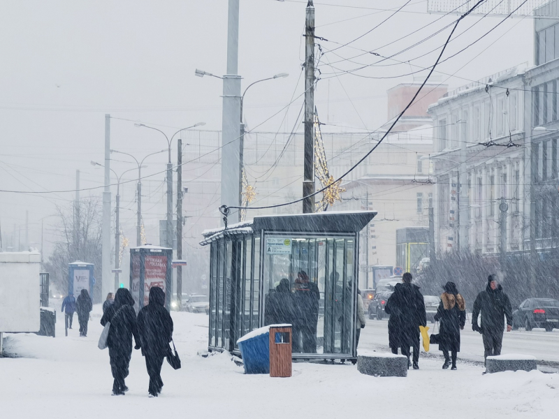 Соцвыплаты медработникам Более 5 тысяч северян получили специальную соцвыплату