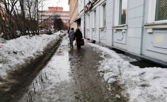 Бабушка стала жертвой грабителя в Мурманской области Прохожие