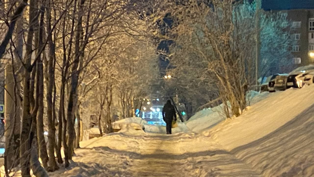 Очередного опасного хищника встретили в Мурманской области Город