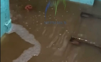 Мурманчане не смогли попасть домой из-за «водопада» в подъезде Потоп