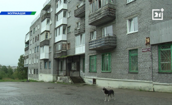 Ремонт кровель стал катастрофой в Мурманской области Дома, дорога, автомобиль, собака