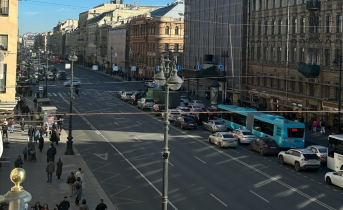 Два дебошира разбили стекло общественного транспорта: возбуждено дело Санкт-Петербург
