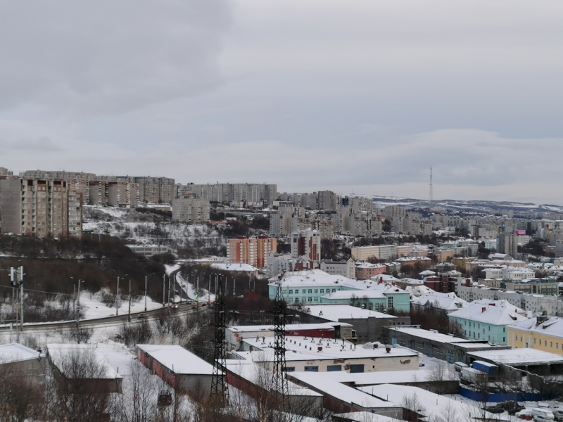 В Мурманской области требуются необычные работники Мурманск