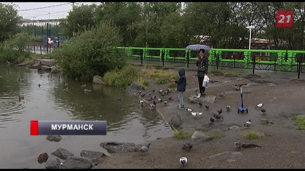 В Мурманске провели рейд на Семеновском озере Семеновское озеро
