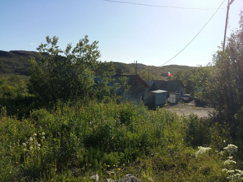 Лес