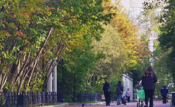 Как быстро найти работу Люди