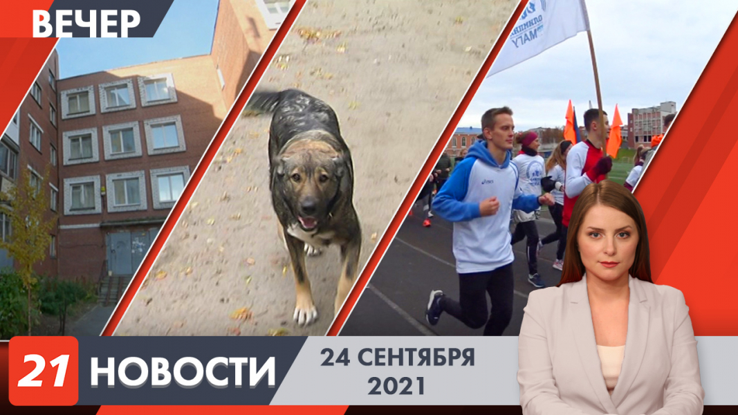 Новости