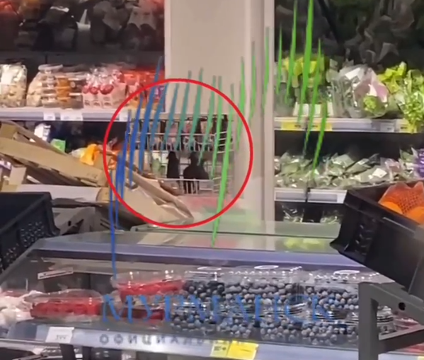 Крысы заполонили магазин в Мурманске Магазин