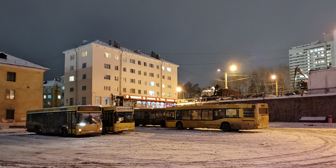Автобусы