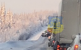 Трассу в Мурманской области перекрыли из-за серьезного ДТП ДТП