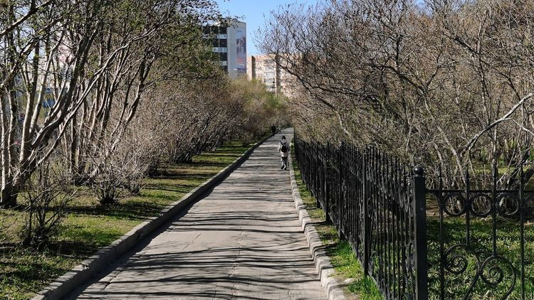 В Мурманске без вести пропала 15-летняя девушка Мурманск