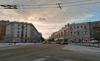В Роспотребнадзоре по Мурманской области предупредили об опасном вирусном заболевании Мурманск