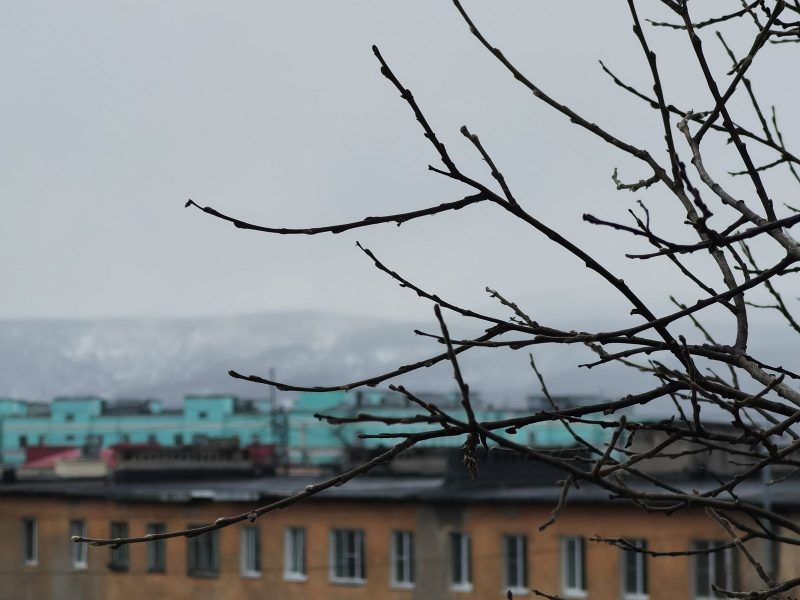 Оттепель