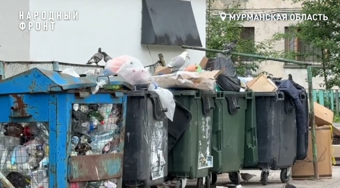 «Крысиный пир» устроили в Мурманске «Крысиный пир» устроили в Мурманске