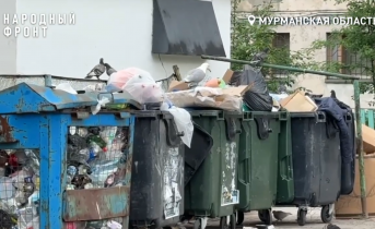 «Крысиный пир» устроили в Мурманске