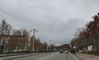 Случайное знакомство в Мурманской области закончилось в полиции Кировск