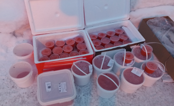 В Мурманске изъяли крупную партию рыбной продукции В Мурманске изъяли крупную партию рыбной продукции