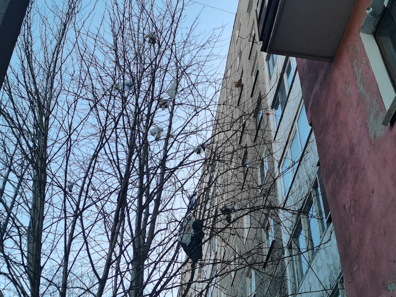 Мусорное дерево Свалка