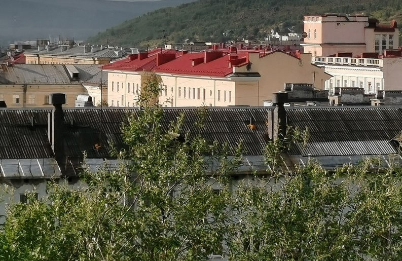 Страшная находка в квартире Город