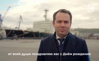Чибис