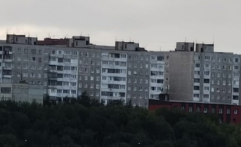 Северянин избил возлюбленную трубой от пылесоса за внешний вид Город
